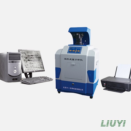 北京六一凝膠成像分析系統(tǒng)WD-9413A