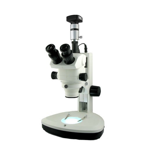 上光彼愛姆電腦連續(xù)變倍體視顯微鏡XTL-BM-9TD