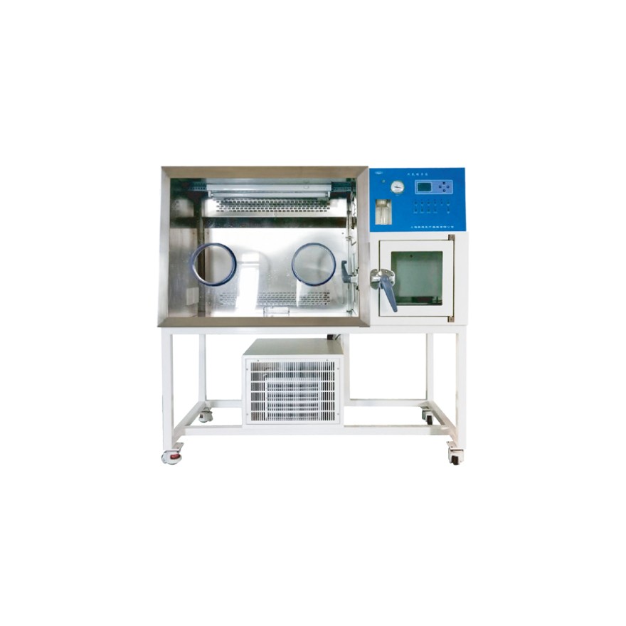 上海躍進(jìn)厭氧培養(yǎng)箱 HYQX-III-Z