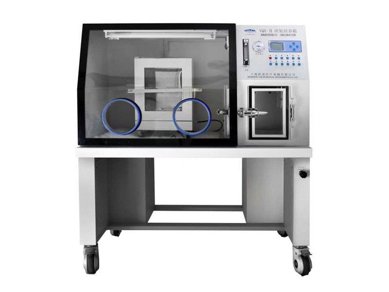 上海躍進(jìn)厭氧培養(yǎng)箱 HYQX-II