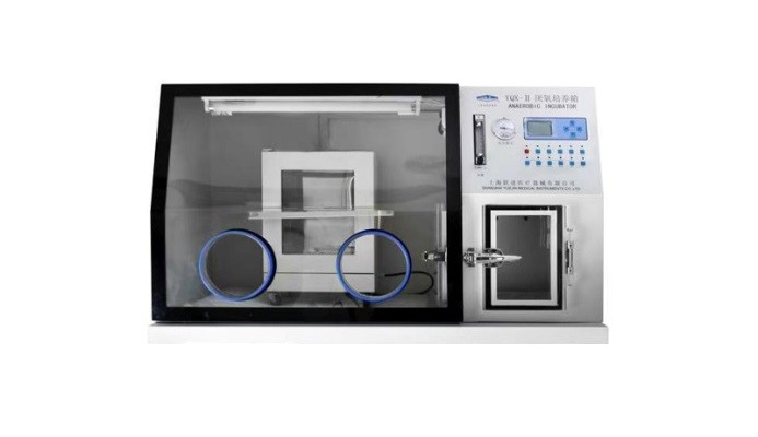 上海躍進(jìn)厭氧培養(yǎng)箱HYQX-II-D
